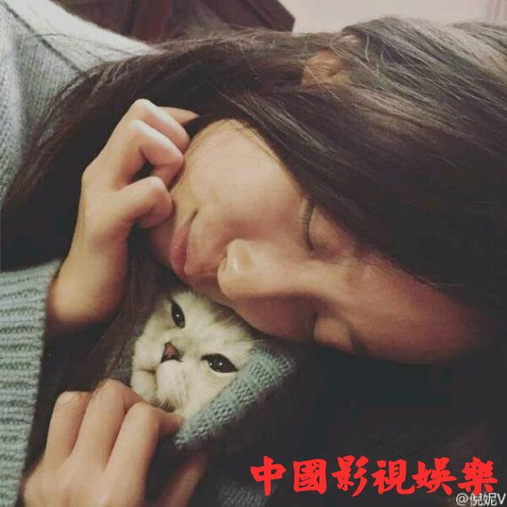 抱着猫咪睡觉的倪妮甚是可爱！
